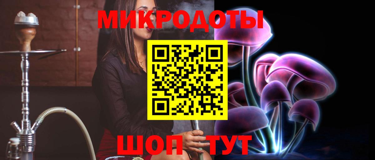 Галлюциногенные грибы Psilocybe  Галлюциногенные грибы прущие грибы  Тайшет  Вход с VPN 